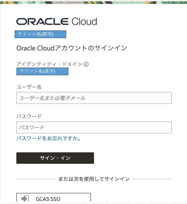 Gcas Guide クラウドサービスの操作方法(OCI編) | ガバメントクラウド OCI 利用ガイド | GCASガイド